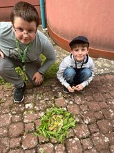 obrázek whatsapp, 2025-09-10 v 14.17.51_f2c976a1
