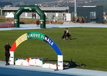 P9080319