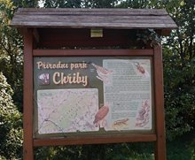 P9158309