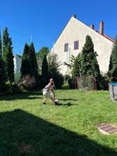 IMG-20250904-WA0010