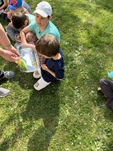 20250423_083128977_ios