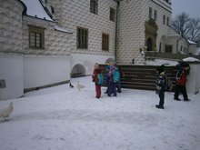 P2020040
